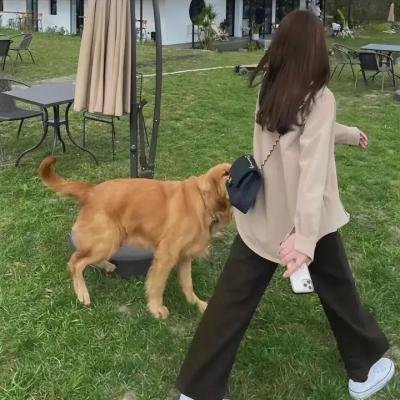 麦当娜